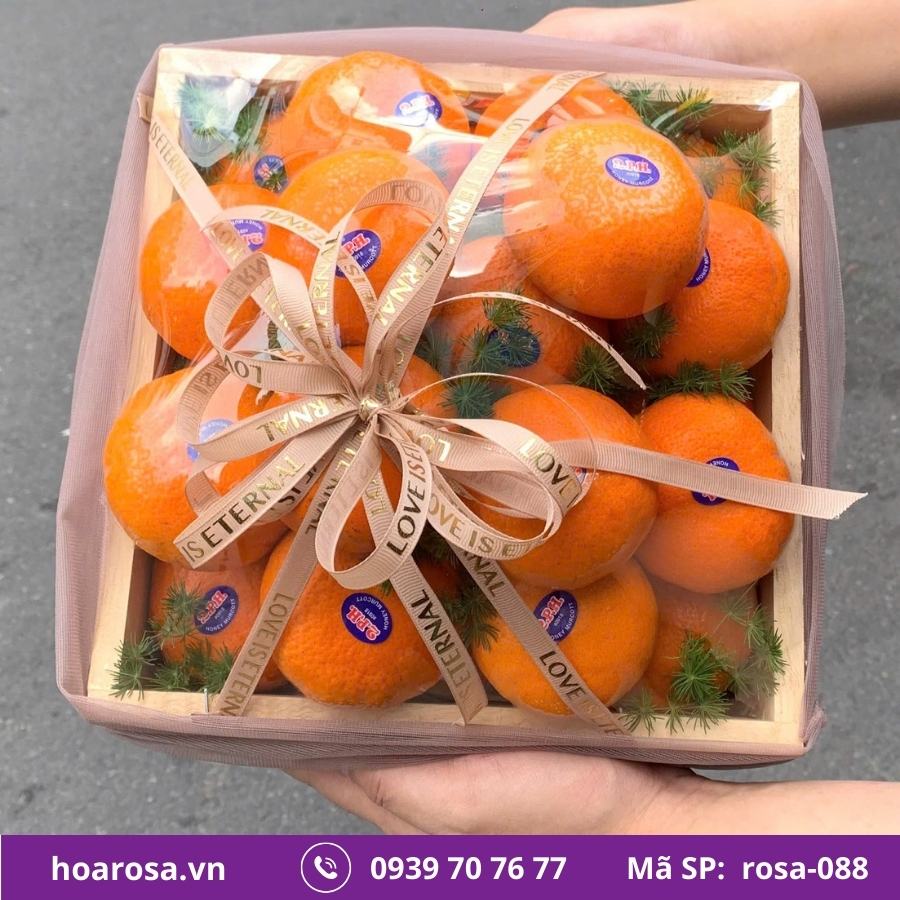 Hộp Trái Cây Bích Thủy #088 – trái cây nhập khẩu