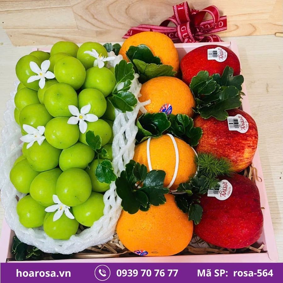 Hộp Trái Cây Bích Thủy #564 – trái cây nhập khẩu